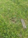 20220104_154104.jpg