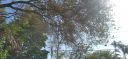 20220309_151552.jpg