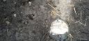 Filename=20220311_111108.jpg
Filesize=1561KiB
Dimensions=4160x1920
Date added=Mar 14, 2022 20220311_111108.jpg