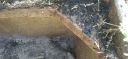 Filename=20220311_111115.jpg
Filesize=1141KiB
Dimensions=4160x1920
Date added=Mar 14, 2022 20220311_111115.jpg