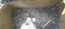 Filename=20220311_111134.jpg
Filesize=1222KiB
Dimensions=4160x1920
Date added=Mar 14, 2022 20220311_111134.jpg
