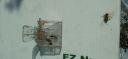 Filename=20220317_105121.jpg
Filesize=749KiB
Dimensions=4160x1920
Date added=Mar 18, 2022 20220317_105121.jpg
