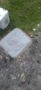 Filename=20220325_133643.jpg
Filesize=1337KiB
Dimensions=1920x4160
Date added=Mar 28, 2022 20220325_133643.jpg