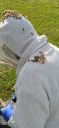 Filename=20220325_173305.jpg
Filesize=1798KiB
Dimensions=1920x4160
Date added=Mar 28, 2022 20220325_173305.jpg