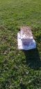 Filename=20220325_174433.jpg
Filesize=2220KiB
Dimensions=1920x4160
Date added=Mar 28, 2022 20220325_174433.jpg