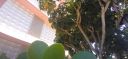 20220329_111343.jpg