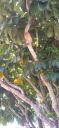Filename=20220329_121451.jpg
Filesize=1263KiB
Dimensions=1920x4160
Date added=Mar 30, 2022 20220329_121451.jpg
