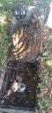 20220405_141256.jpg