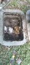 Filename=20220405_150719.jpg
Filesize=1463KiB
Dimensions=1920x4160
Date added=Apr 06, 2022 20220405_150719.jpg
