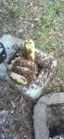 Filename=20220405_150721.jpg
Filesize=1348KiB
Dimensions=1920x4160
Date added=Apr 06, 2022 20220405_150721.jpg