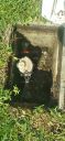 Filename=20220407_103419.jpg
Filesize=1696KiB
Dimensions=1920x4160
Date added=Apr 08, 2022 20220407_103419.jpg
