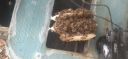 Filename=20220412_100353.jpg
Filesize=996KiB
Dimensions=4160x1920
Date added=Apr 13, 2022 20220412_100353.jpg