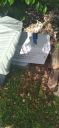 Filename=20220412_102722.jpg
Filesize=1268KiB
Dimensions=1920x4160
Date added=Apr 13, 2022 20220412_102722.jpg