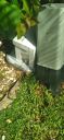 Filename=20220412_102725.jpg
Filesize=1515KiB
Dimensions=1920x4160
Date added=Apr 13, 2022 20220412_102725.jpg