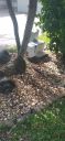 Filename=20220412_102748.jpg
Filesize=1483KiB
Dimensions=1920x4160
Date added=Apr 13, 2022 20220412_102748.jpg