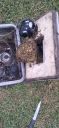 Filename=20220415_132357.jpg
Filesize=1741KiB
Dimensions=1920x4160
Date added=Apr 18, 2022 20220415_132357.jpg