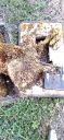 20220415_135629.jpg