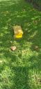 20220416_110659.jpg