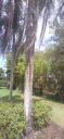 Filename=20220421_113735.jpg
Filesize=827KiB
Dimensions=1184x2560
Date added=Apr 22, 2022 20220421_113735.jpg