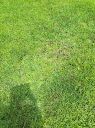20220523_111801.jpg