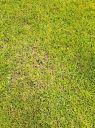 20220523_111809.jpg