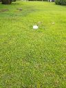 20220523_115730.jpg