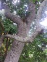 20220610_121022.jpg