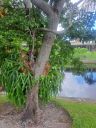 20220610_121035.jpg