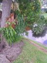 20220610_121042.jpg