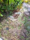 Filename=20220629_092031.jpg
Filesize=4058KiB
Dimensions=3150x4200
Date added=Jun 30, 2022 20220629_092031.jpg