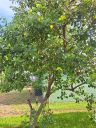 20220629_175529.jpg