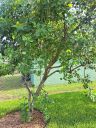 20220629_175544.jpg
