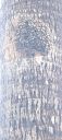 Filename=20220815_175653.jpg
Filesize=755KiB
Dimensions=2084x4624
Date added=Aug 16, 2022 20220815_175653.jpg