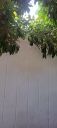 Filename=20220831_143928.jpg
Filesize=1065KiB
Dimensions=2084x4624
Date added=Sep 02, 2022 20220831_143928.jpg