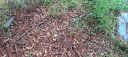 20220903_103312_001.jpg