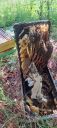 Filename=20220903_105439.jpg
Filesize=2274KiB
Dimensions=2084x4624
Date added=Sep 06, 2022 20220903_105439.jpg