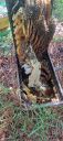 Filename=20220903_105441.jpg
Filesize=2166KiB
Dimensions=2084x4624
Date added=Sep 06, 2022 20220903_105441.jpg