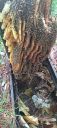 Filename=20220903_105519.jpg
Filesize=1965KiB
Dimensions=2084x4624
Date added=Sep 06, 2022 20220903_105519.jpg
