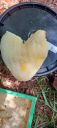Filename=20220903_105901.jpg
Filesize=1227KiB
Dimensions=2084x4624
Date added=Sep 06, 2022 20220903_105901.jpg
