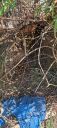 20220907_105924.jpg