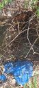 20220907_10592428029.jpg