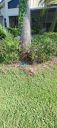 Filename=20220907_110016.jpg
Filesize=2136KiB
Dimensions=1800x4000
Date added=Sep 08, 2022 20220907_110016.jpg