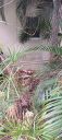 Filename=20220908_161326.jpg
Filesize=1799KiB
Dimensions=2084x4624
Date added=Sep 09, 2022 20220908_161326.jpg