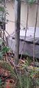 Filename=20220908_161327.jpg
Filesize=1410KiB
Dimensions=2084x4624
Date added=Sep 09, 2022 20220908_161327.jpg