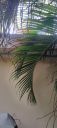 Filename=20220908_161446.jpg
Filesize=1230KiB
Dimensions=2084x4624
Date added=Sep 09, 2022 20220908_161446.jpg