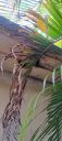 Filename=20220908_161458.jpg
Filesize=1111KiB
Dimensions=2084x4624
Date added=Sep 09, 2022 20220908_161458.jpg
