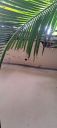Filename=20220908_161515.jpg
Filesize=971KiB
Dimensions=2084x4624
Date added=Sep 09, 2022 20220908_161515.jpg