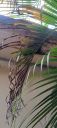 Filename=20220908_161547.jpg
Filesize=1096KiB
Dimensions=2084x4624
Date added=Sep 09, 2022 20220908_161547.jpg