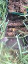 20220913_153854.jpg