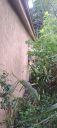 20221014_110831.jpg